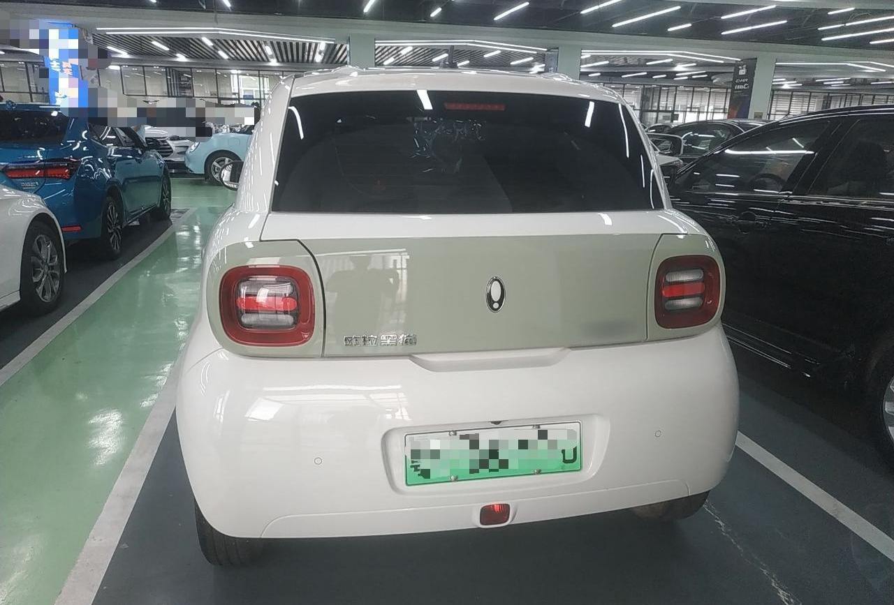 欧拉黑猫 2022款 301km 萌宠版