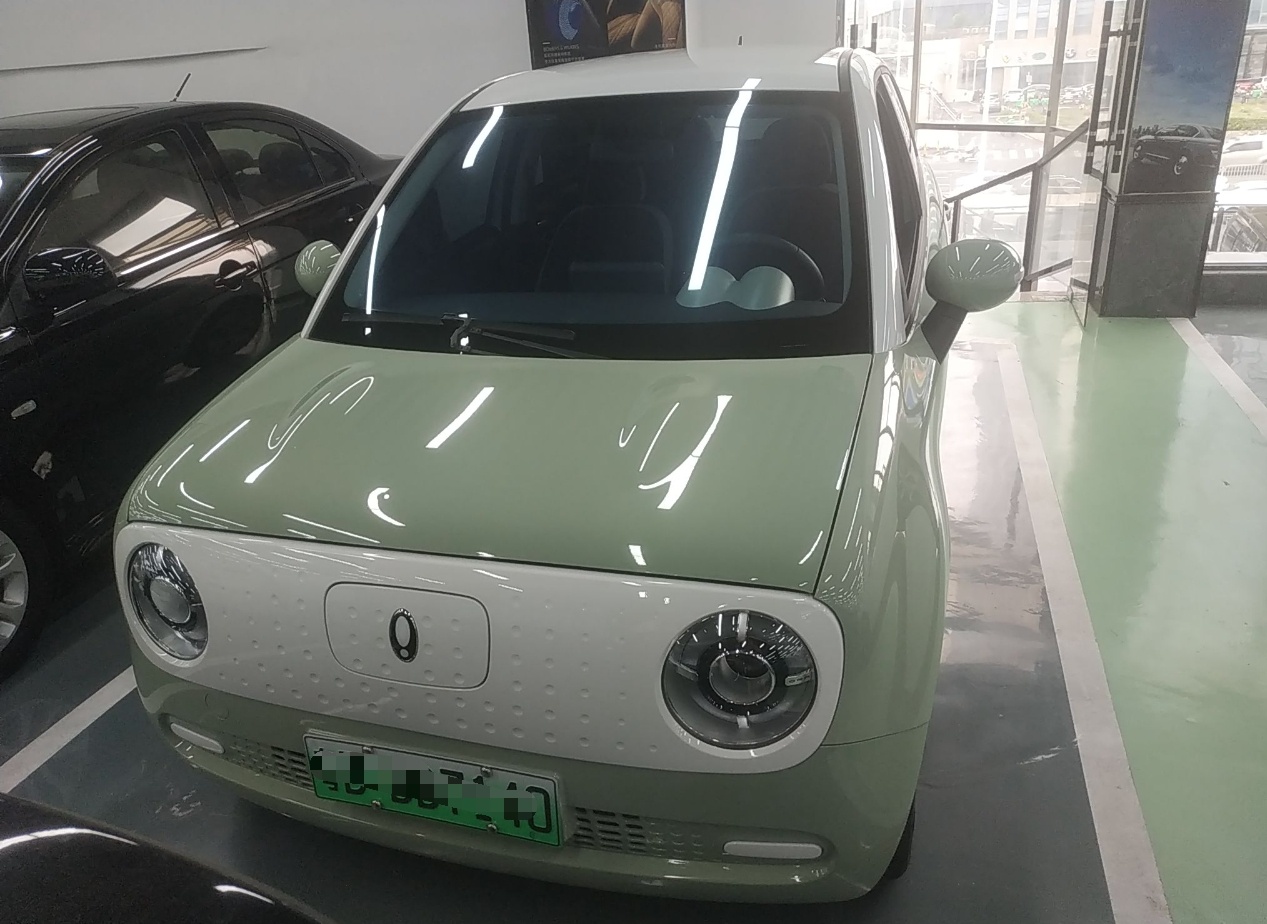 欧拉黑猫 2022款 301km 萌宠版