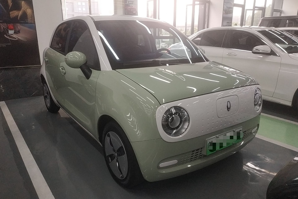 欧拉黑猫 2022款 301km 萌宠版