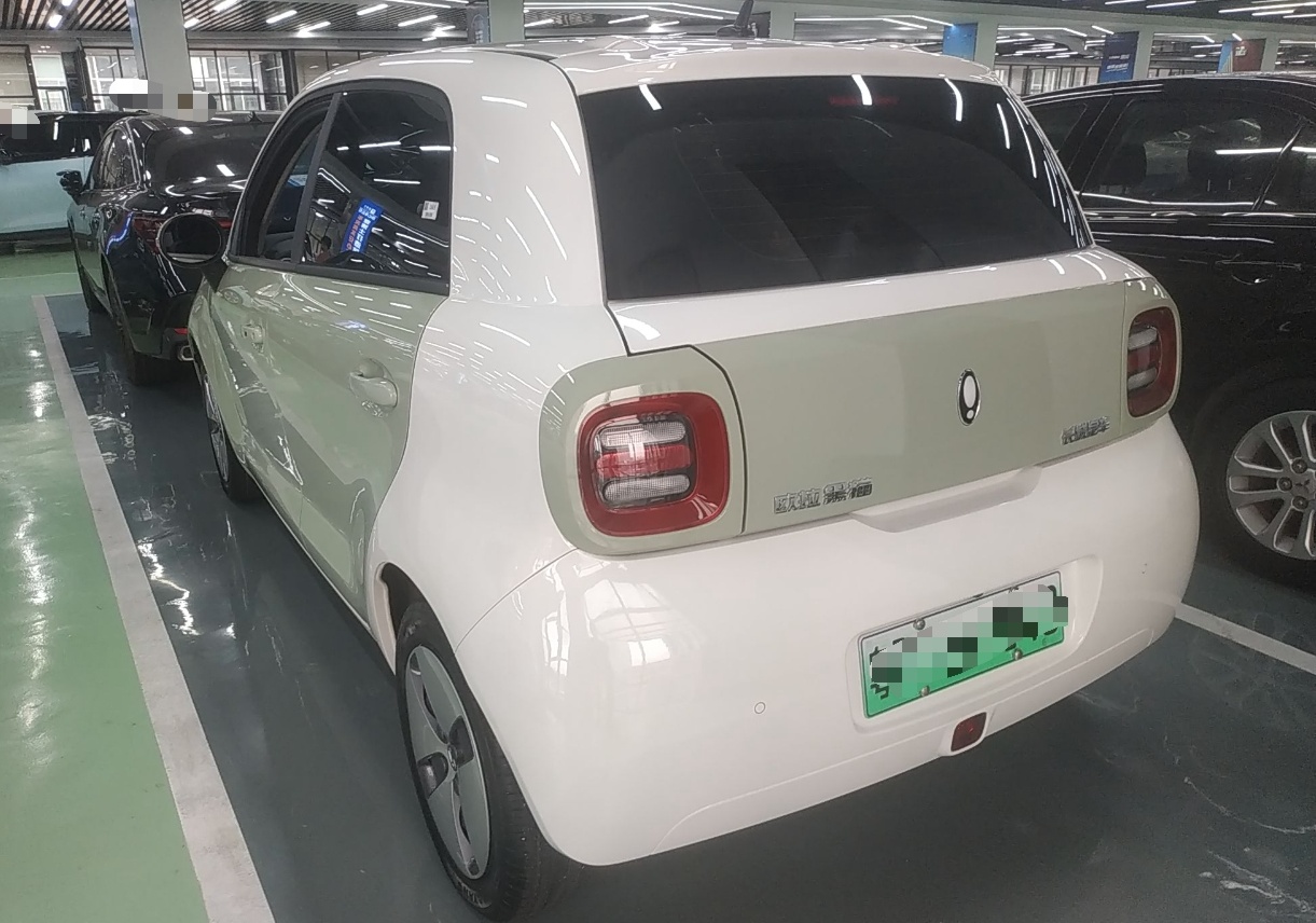 欧拉黑猫 2022款 301km 萌宠版