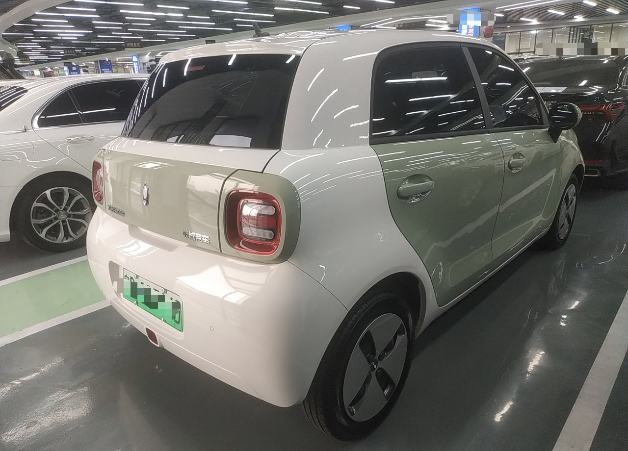 欧拉黑猫 2022款 301km 萌宠版