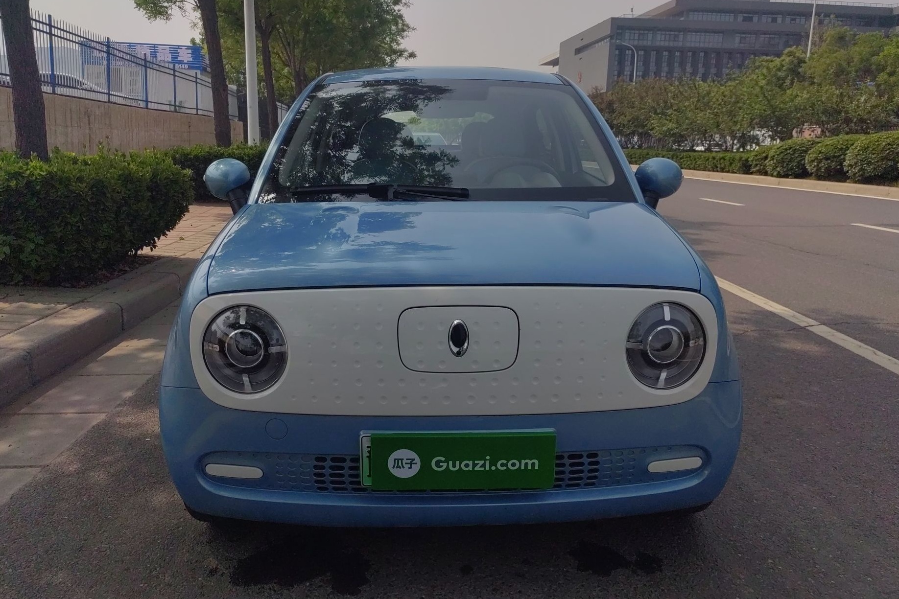 欧拉黑猫 2019款 351km 灵趣版