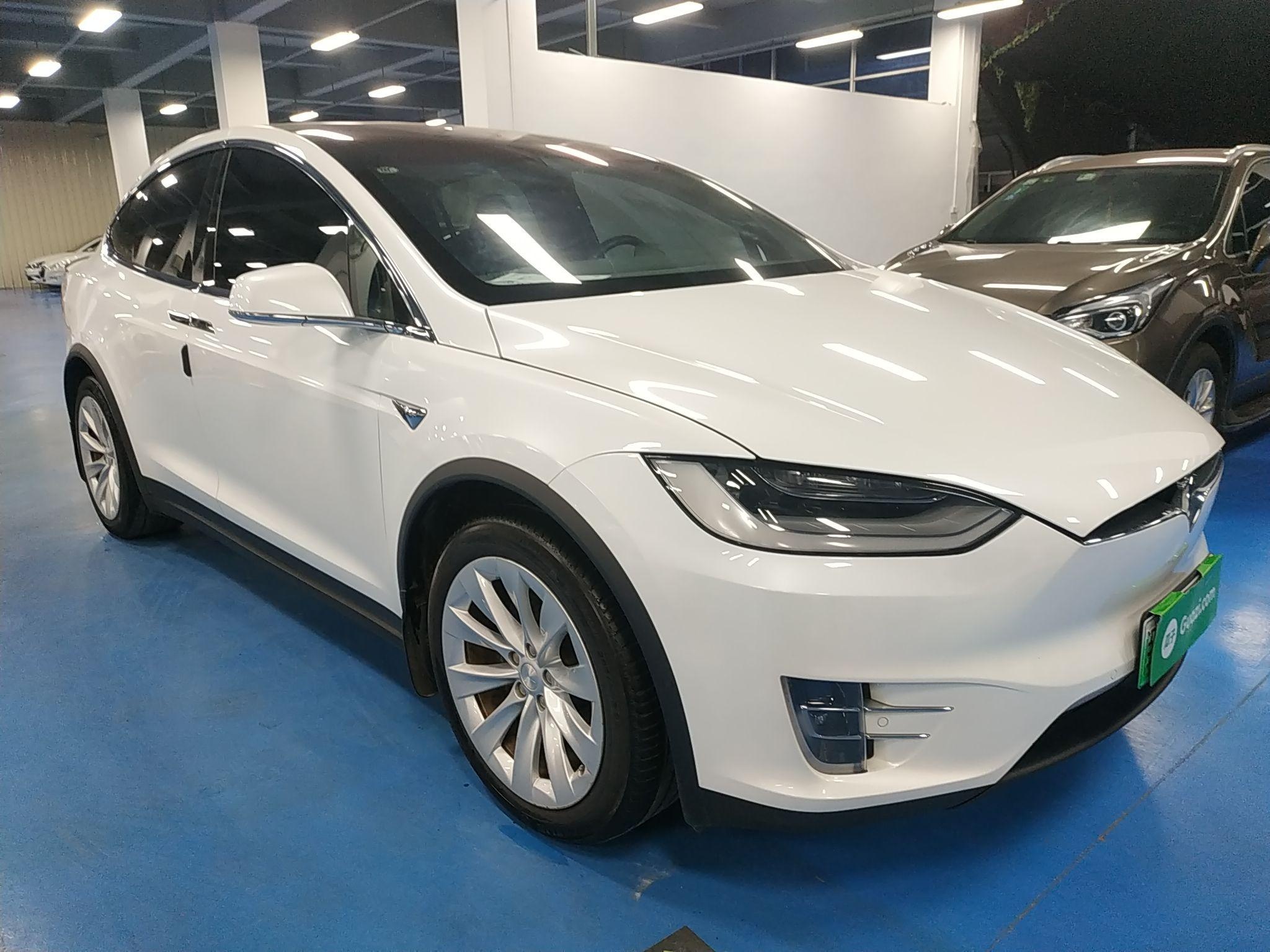 特斯拉Model X 2019款 长续航版(进口)