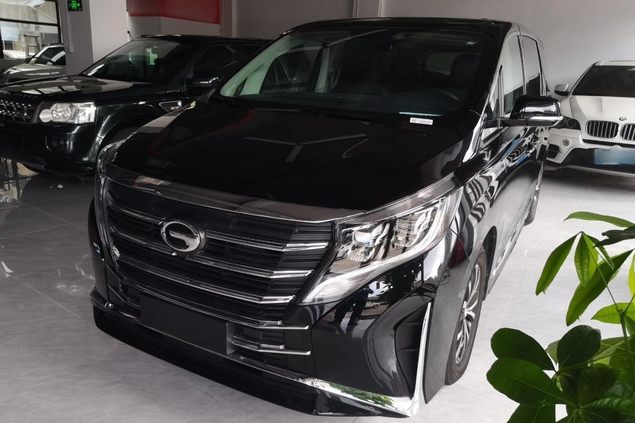 广汽传祺 传祺M8 2023款 领秀系列 390T 尊享版