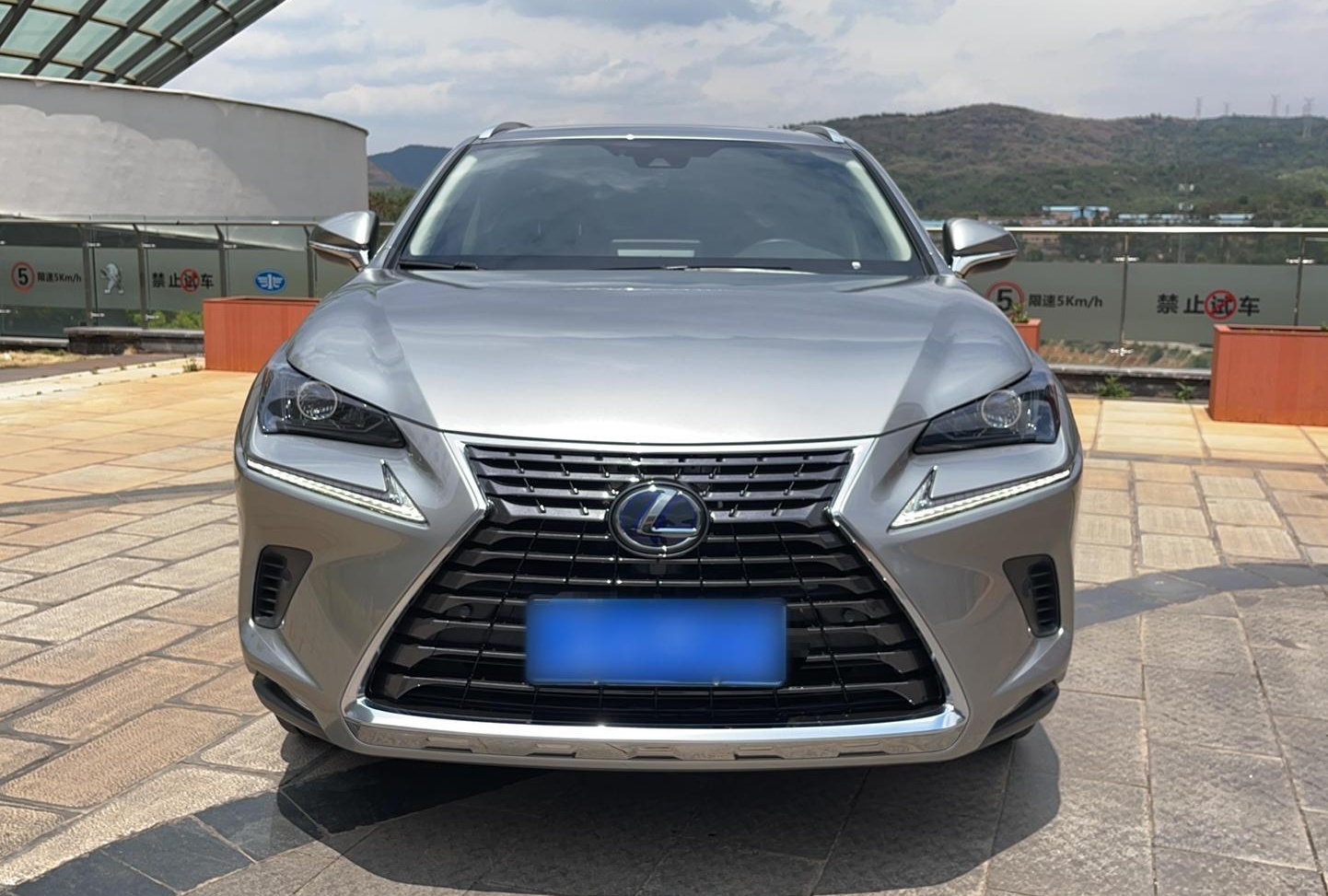 雷克萨斯NX 2020款 300h 前驱 锋尚版 国VI