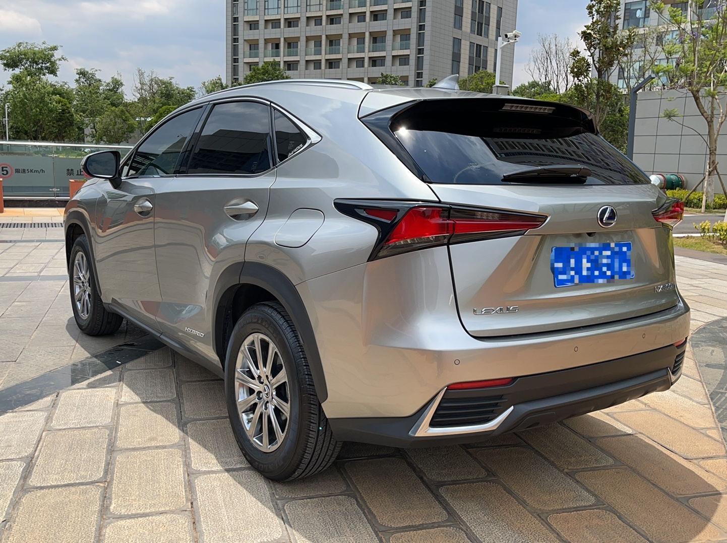 雷克萨斯NX 2020款 300h 前驱 锋尚版 国VI