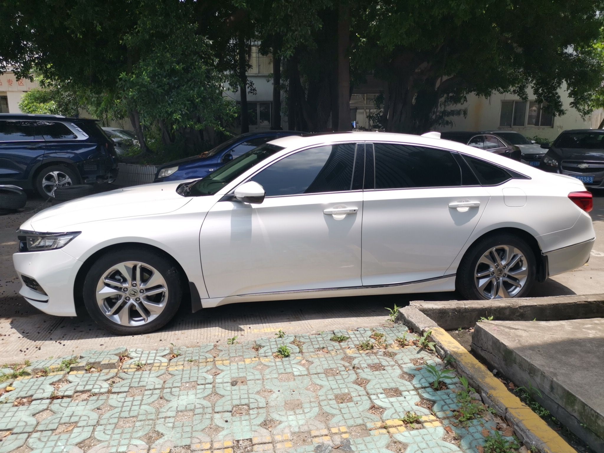 本田 雅阁 2018款 260TURBO 精英版 国VI