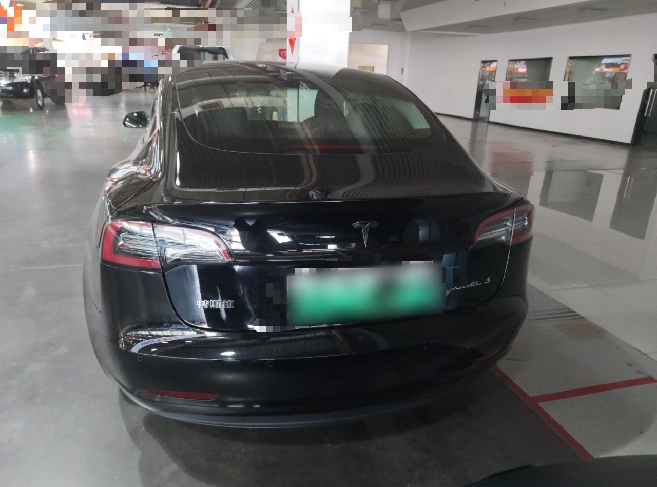 特斯拉 Model 3 2019款 标准续航后驱升级版