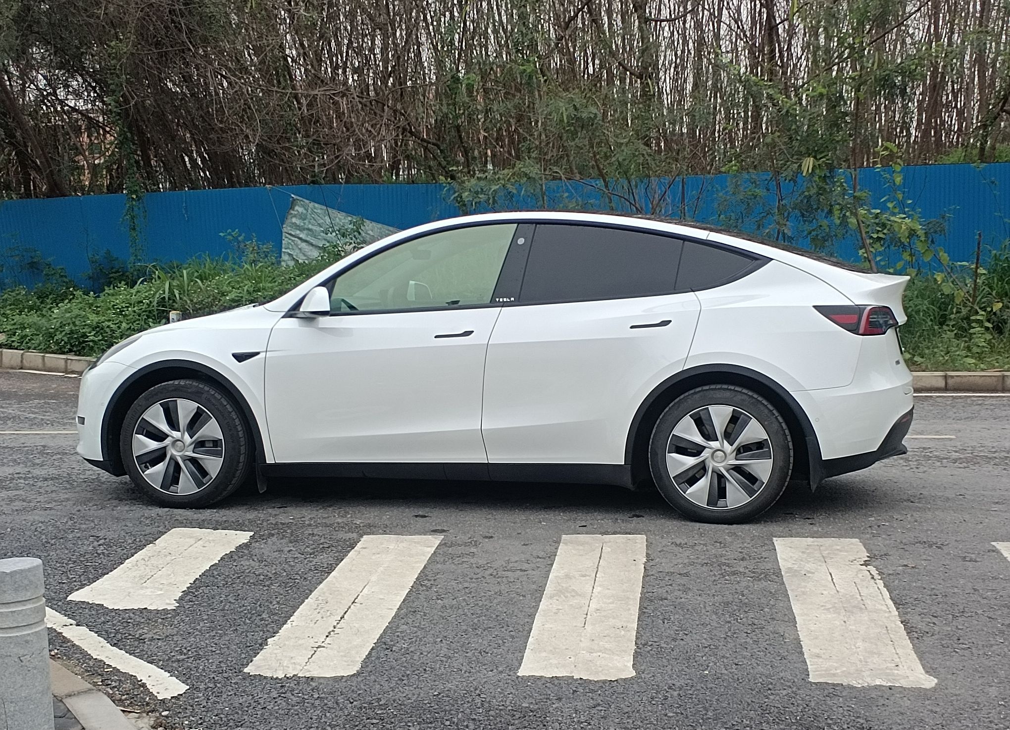 特斯拉 Model Y 2021款 标准续航后驱版