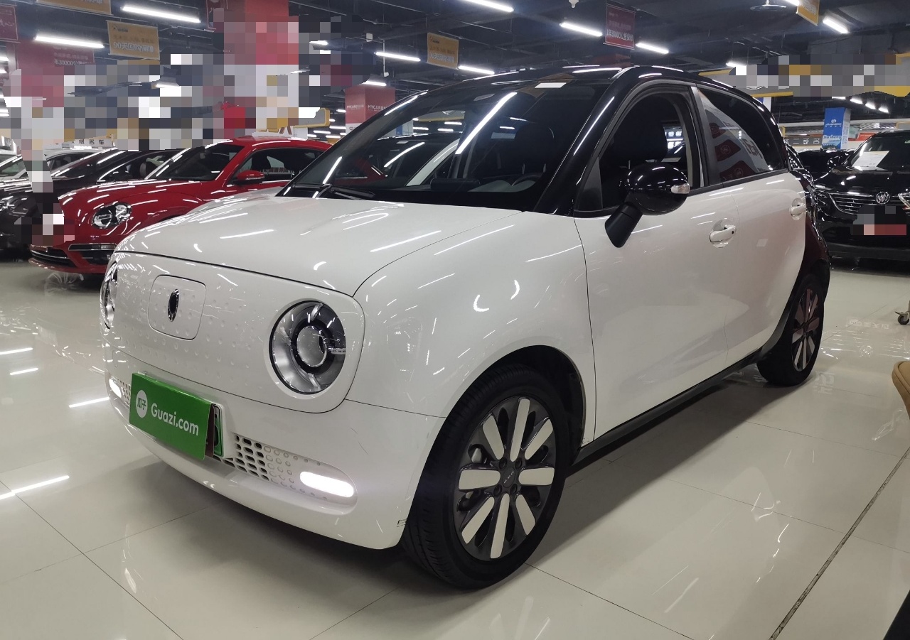 欧拉黑猫 2019款 351km 亲子版