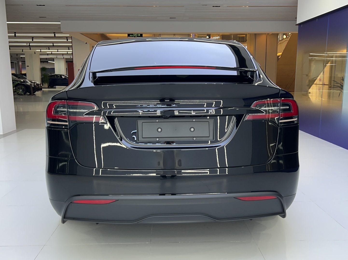 特斯拉Model X 2023款 双电机全轮驱动版(进口)