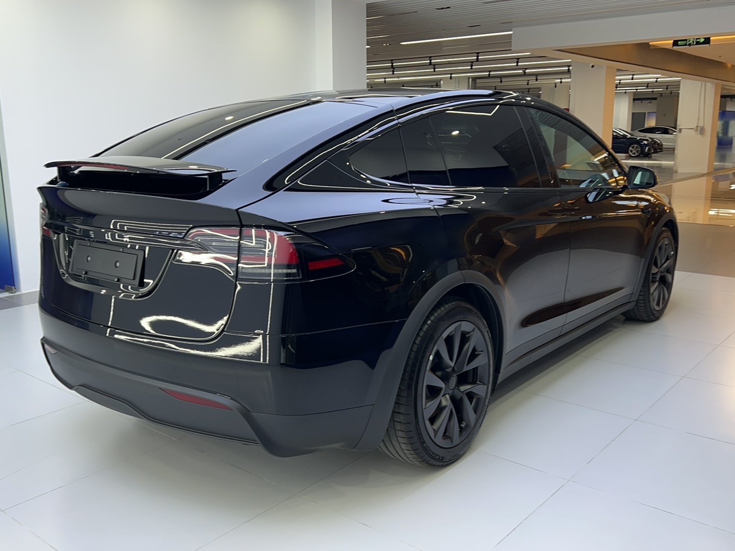 特斯拉Model X 2023款 双电机全轮驱动版(进口)