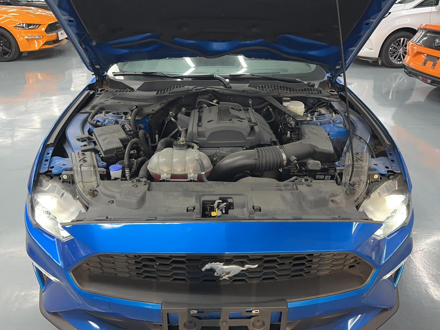 福特 野马 2020款 2.3L EcoBoost