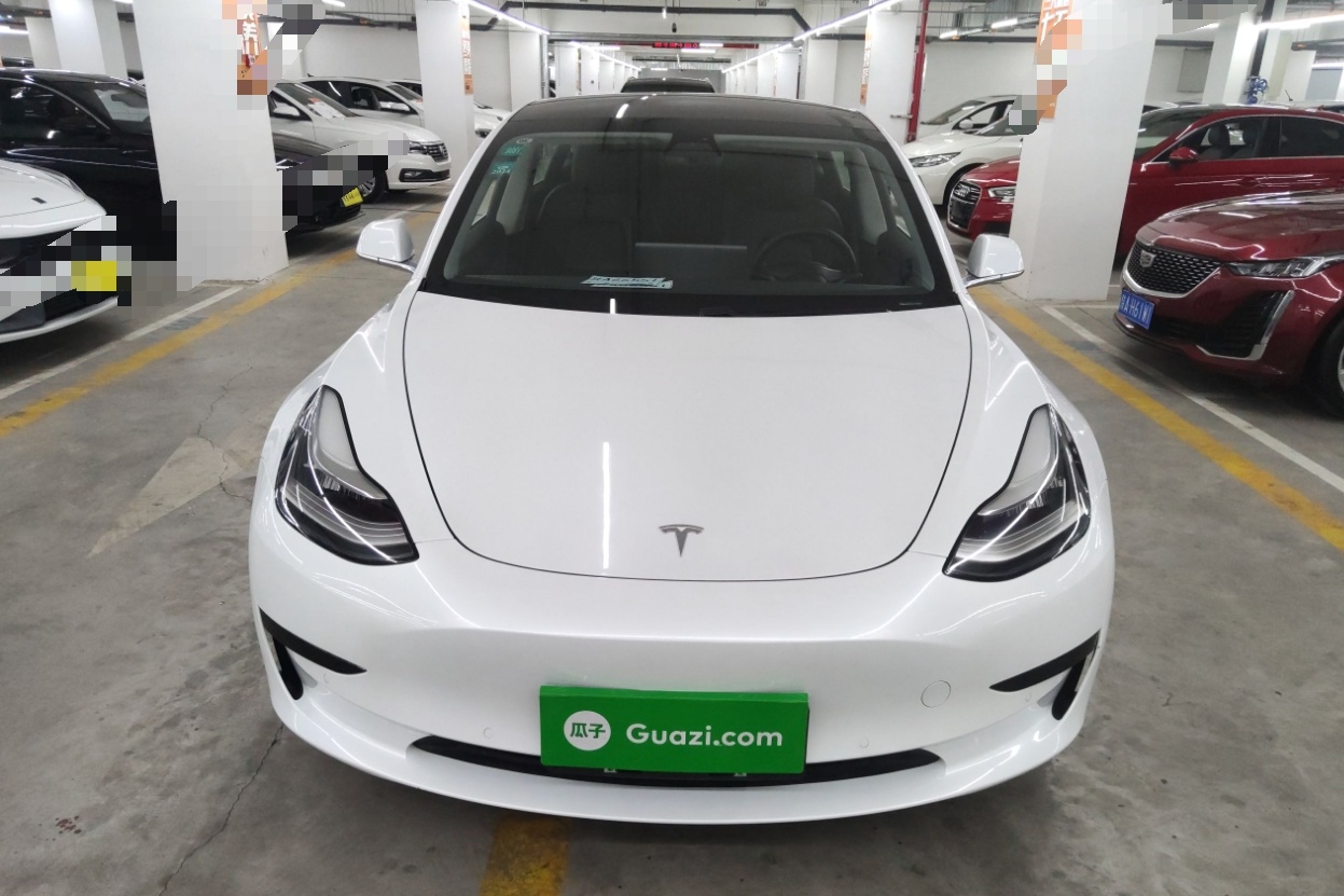 特斯拉 Model 3 2019款 标准续航后驱升级版