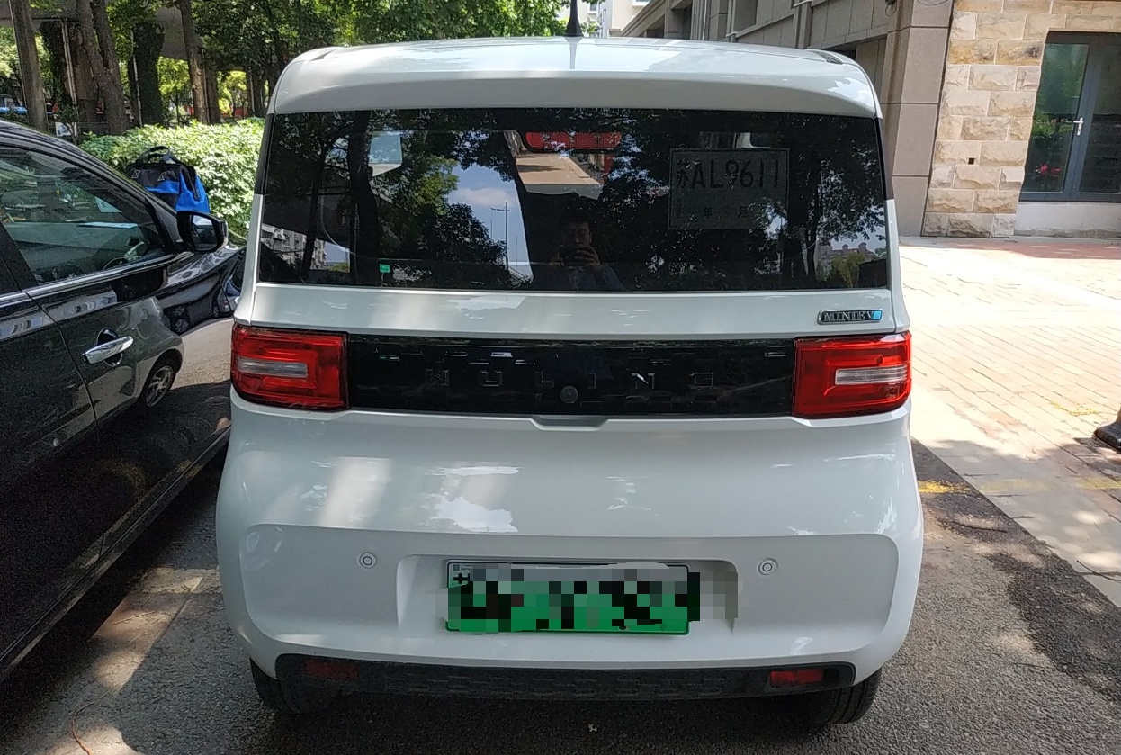 五菱汽车 宏光MINI EV 2020款 自在款 磷酸铁锂