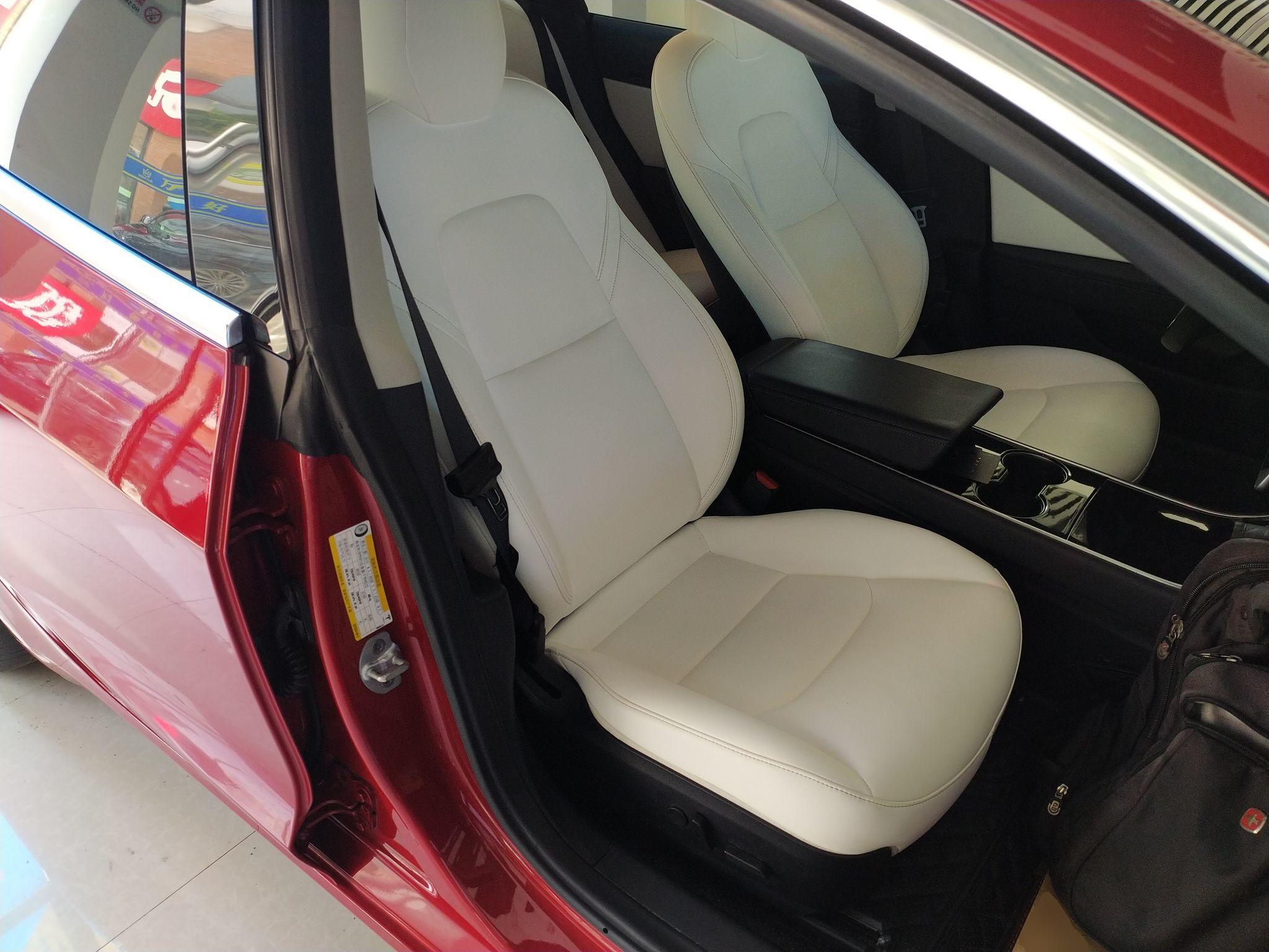 特斯拉 Model 3 2019款 长续航后驱版(进口)