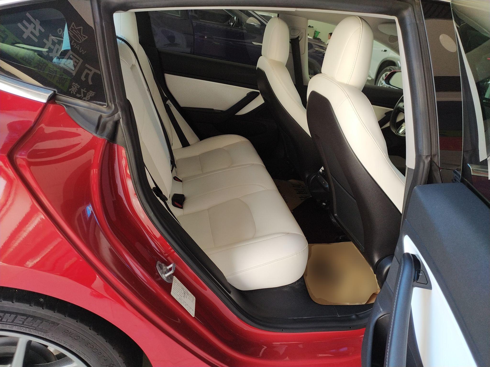 特斯拉 Model 3 2019款 长续航后驱版(进口)