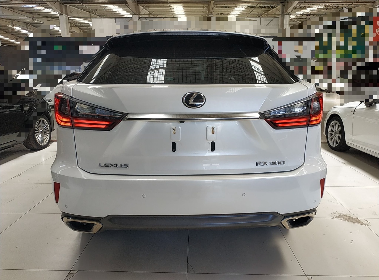 雷克萨斯RX 2016款 300 两驱精英版 国V