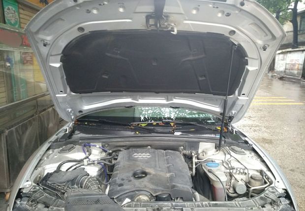 奥迪A5掀背 [进口] 2010款 2.0T 自动 汽油 豪华型 