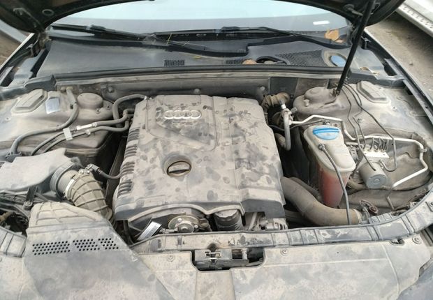 奥迪A5 Coupe [进口] 2013款 2.0T 自动 汽油 