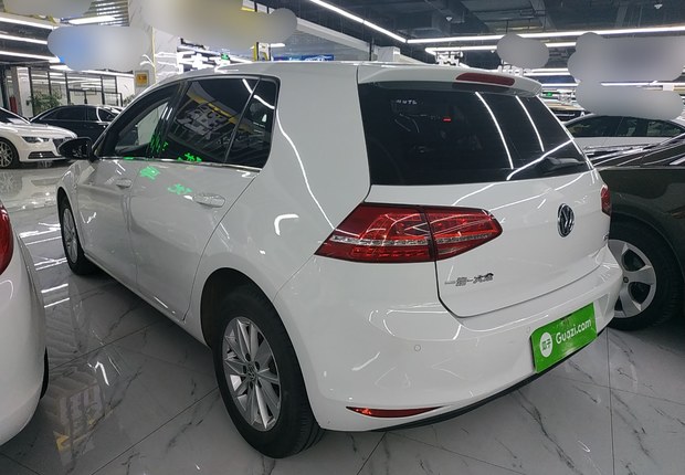 大众高尔夫 2014款 1.6L 手动 汽油 时尚型 (国Ⅳ) 