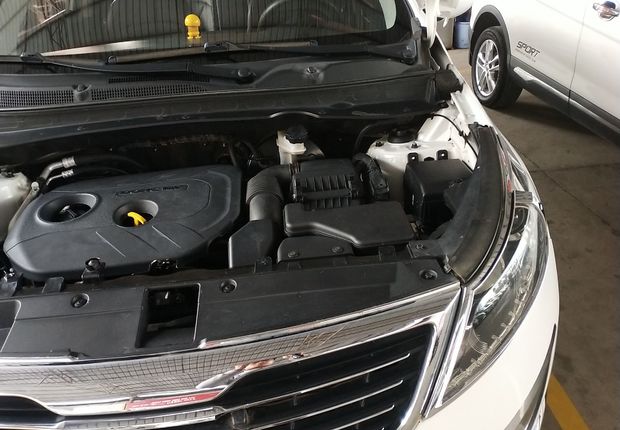 起亚智跑 2012款 2.0L 自动 前驱 GLS (国Ⅳ) 