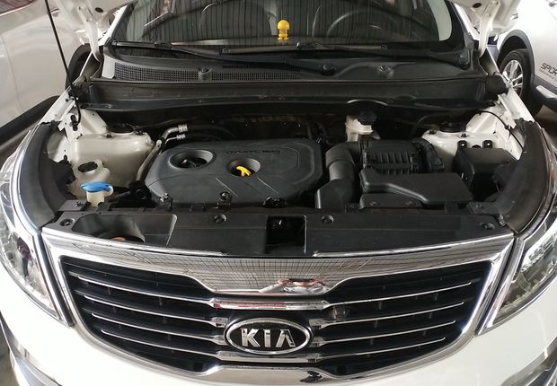 起亚智跑 2012款 2.0L 自动 前驱 GLS (国Ⅳ) 