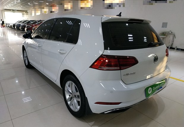 大众高尔夫 2019款 1.6L 自动 汽油 舒适型 (国Ⅴ) 