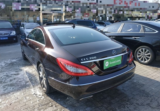 奔驰CLS级 CLS300 [进口] 2012款 3.5L 自动 