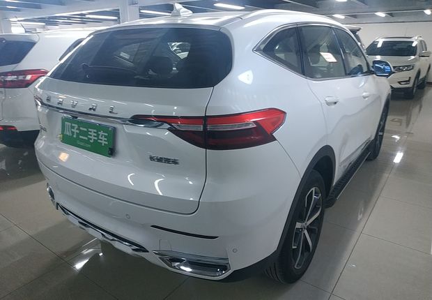 哈弗哈弗F7 2019款 1.5T 自动 i潮版 (国Ⅴ) 