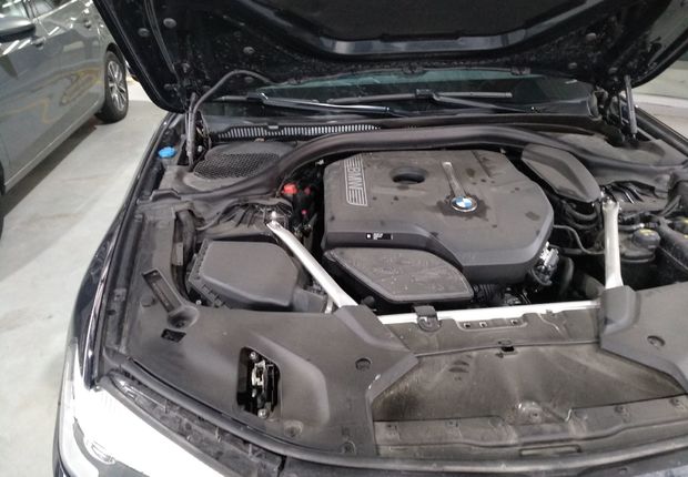 宝马5系 525Li 2019款 2.0T 自动 汽油 M运动套装改款 (国Ⅵ) 