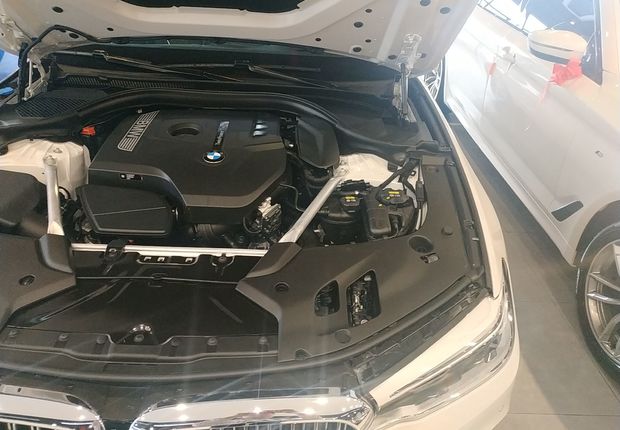 宝马5系 530Li 2019款 2.0T 自动 汽油 尊享型豪华套装 (国Ⅴ) 