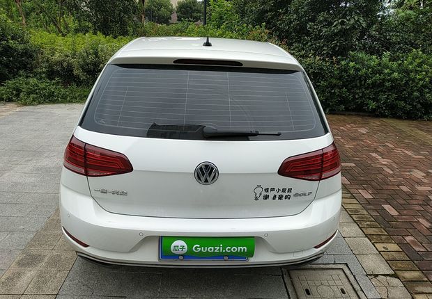 大众高尔夫 2019款 1.6L 自动 汽油 舒适型 (国Ⅴ) 