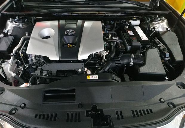 雷克萨斯ES 260 [进口] 2018款 2.5L 自动 卓越版 (国Ⅴ) 