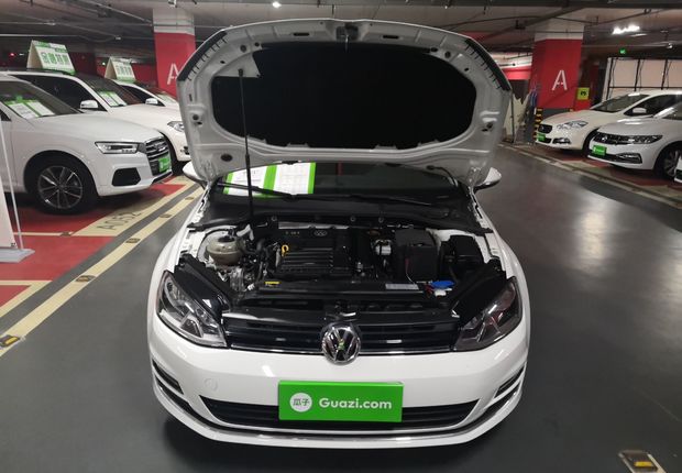 大众高尔夫 2015款 1.4T 自动 汽油 豪华型 (国Ⅳ) 