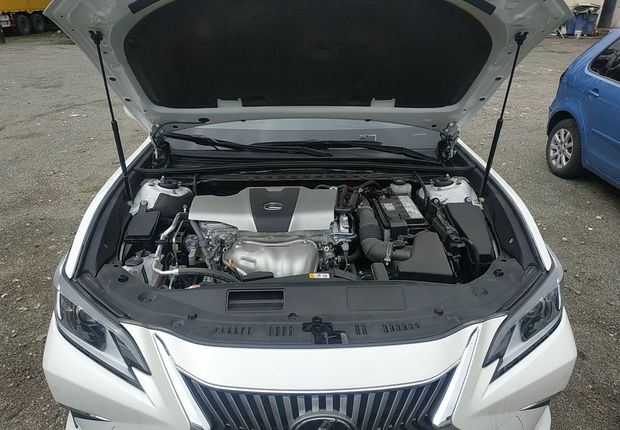 雷克萨斯ES 200 [进口] 2018款 2.0L 自动 豪华版 (国Ⅴ) 