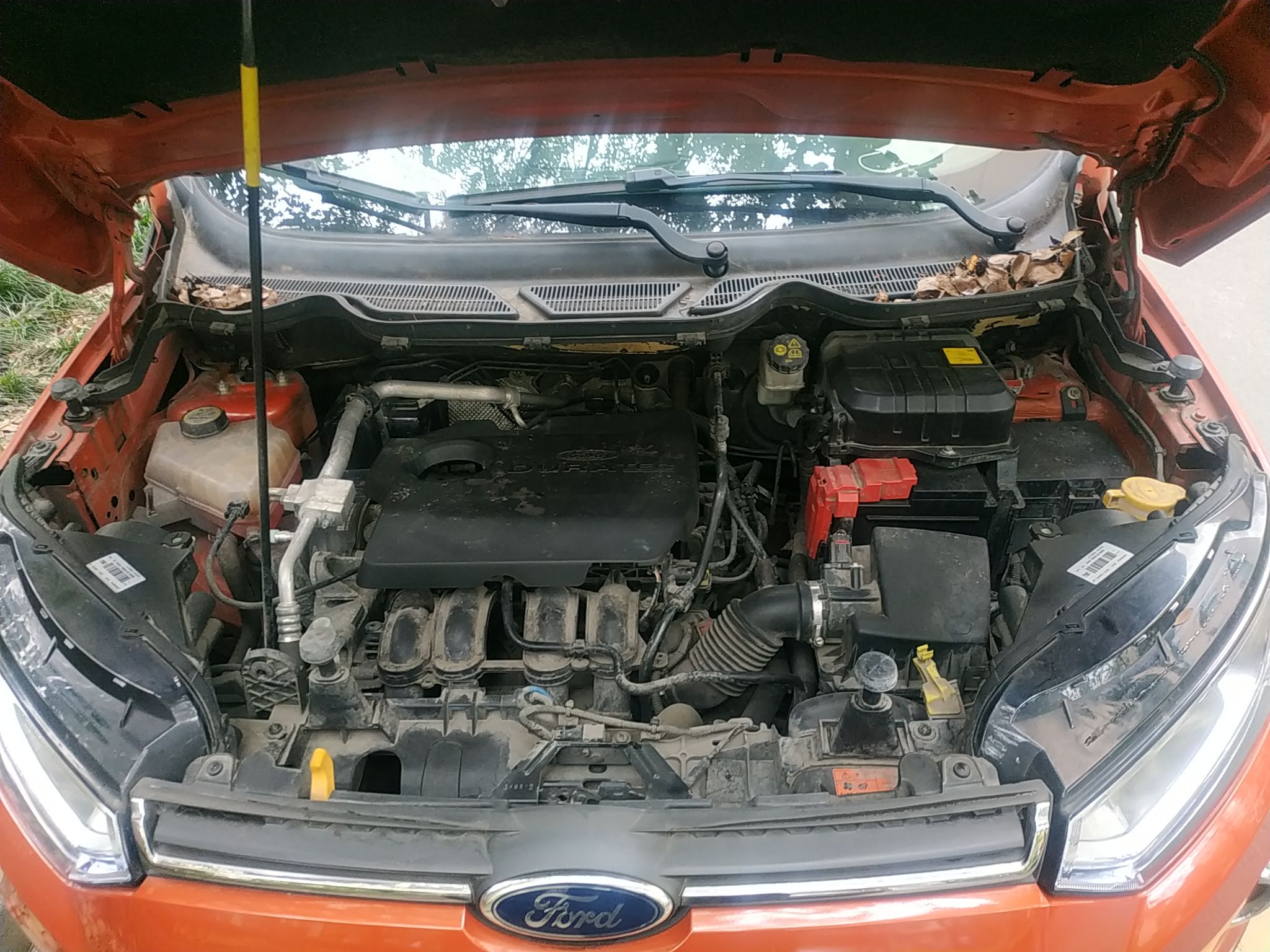 福特翼搏2013款15l自动前驱尊贵型国Ⅴ