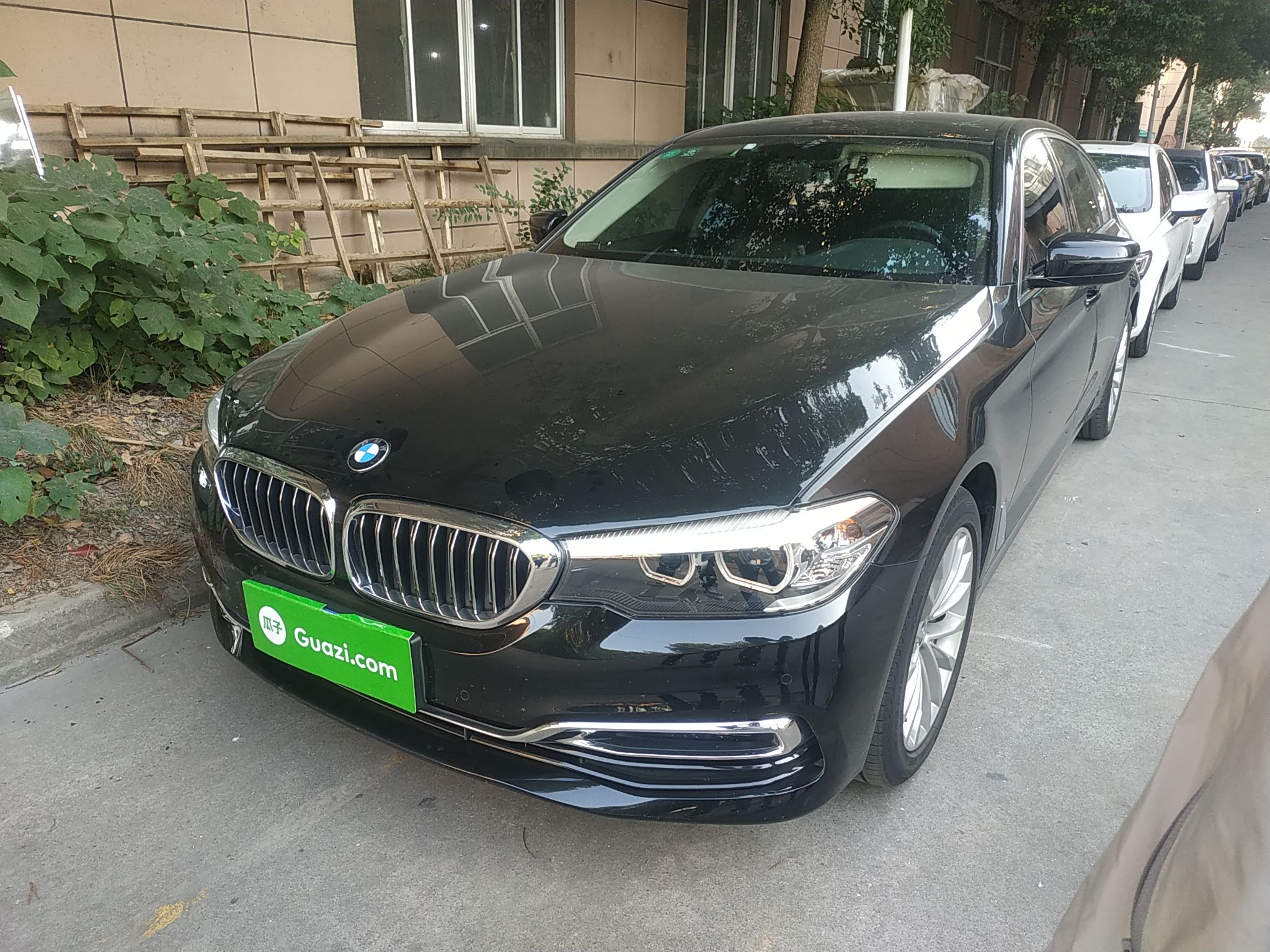 宝马5系 530Li 2019款 2.0T 自动 汽油 领先型豪华套装 (国Ⅴ) 