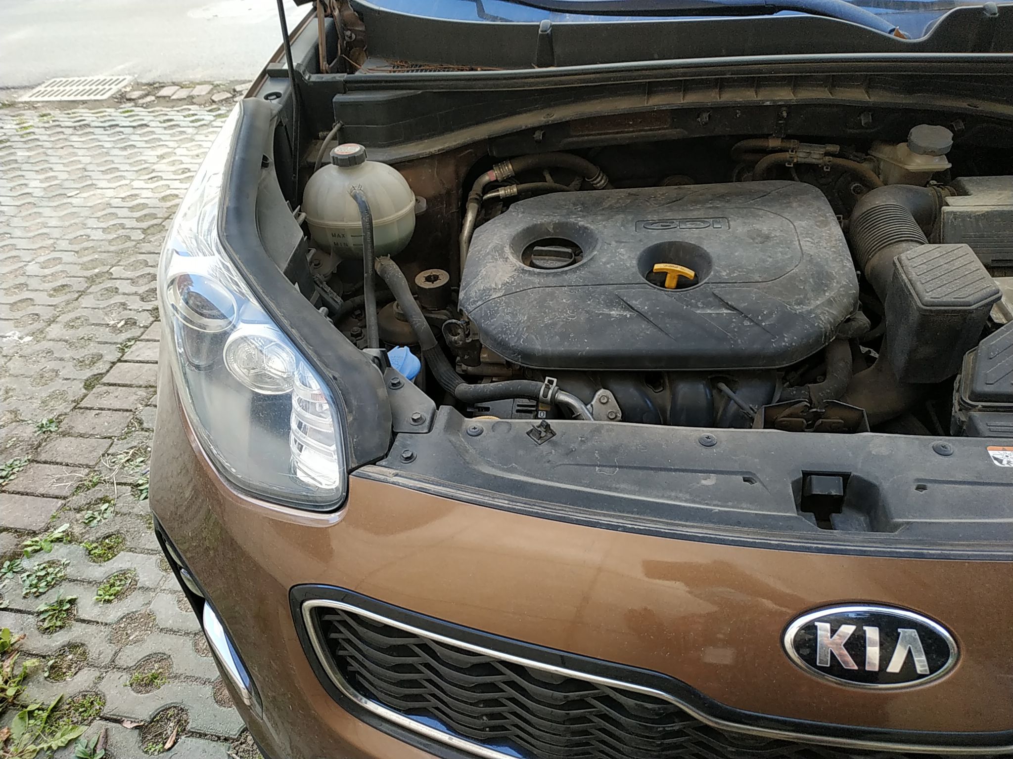 起亚kx5 2016款 2.0l 自动 gls (国Ⅴ)