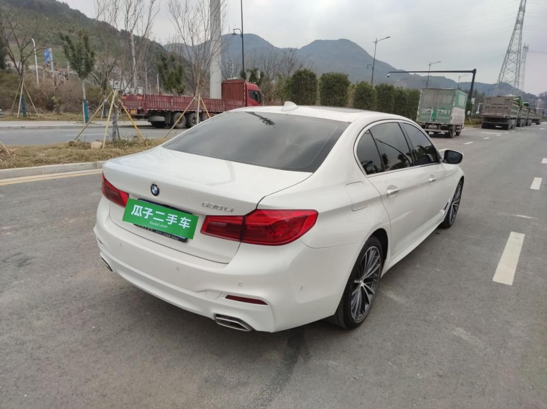 宝马5系 530Li 2020款 2.0T 自动 汽油 领先型M运动套装 (国Ⅵ) 