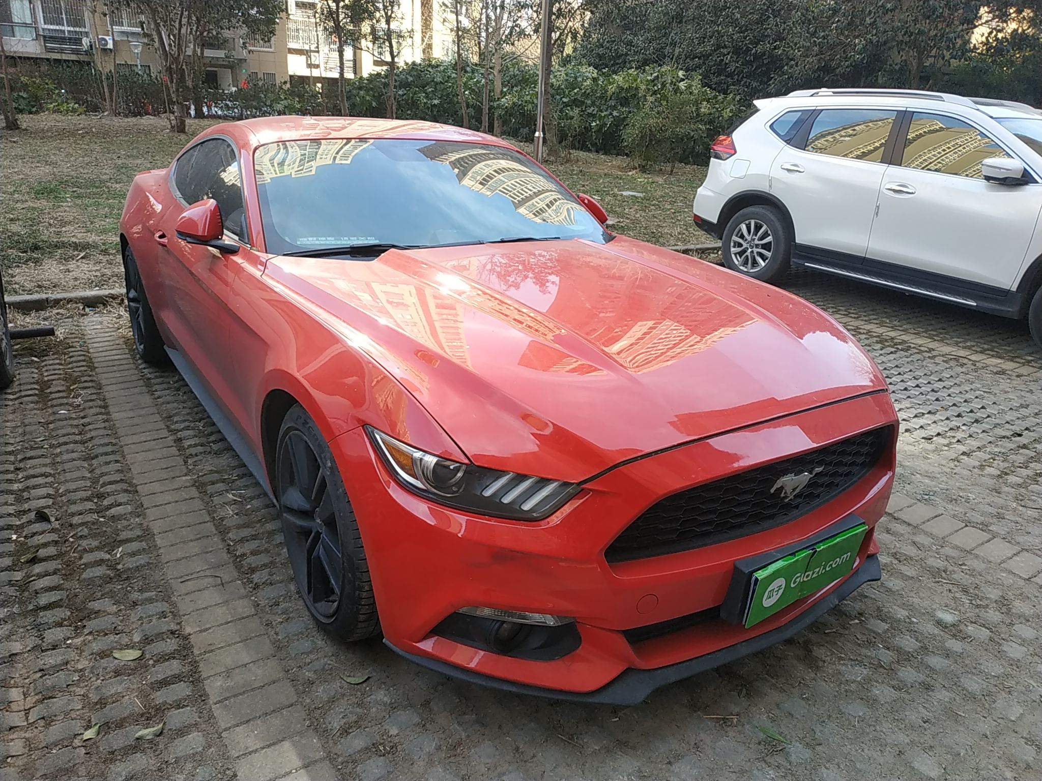 福特野马进口2015款23t自动性能版