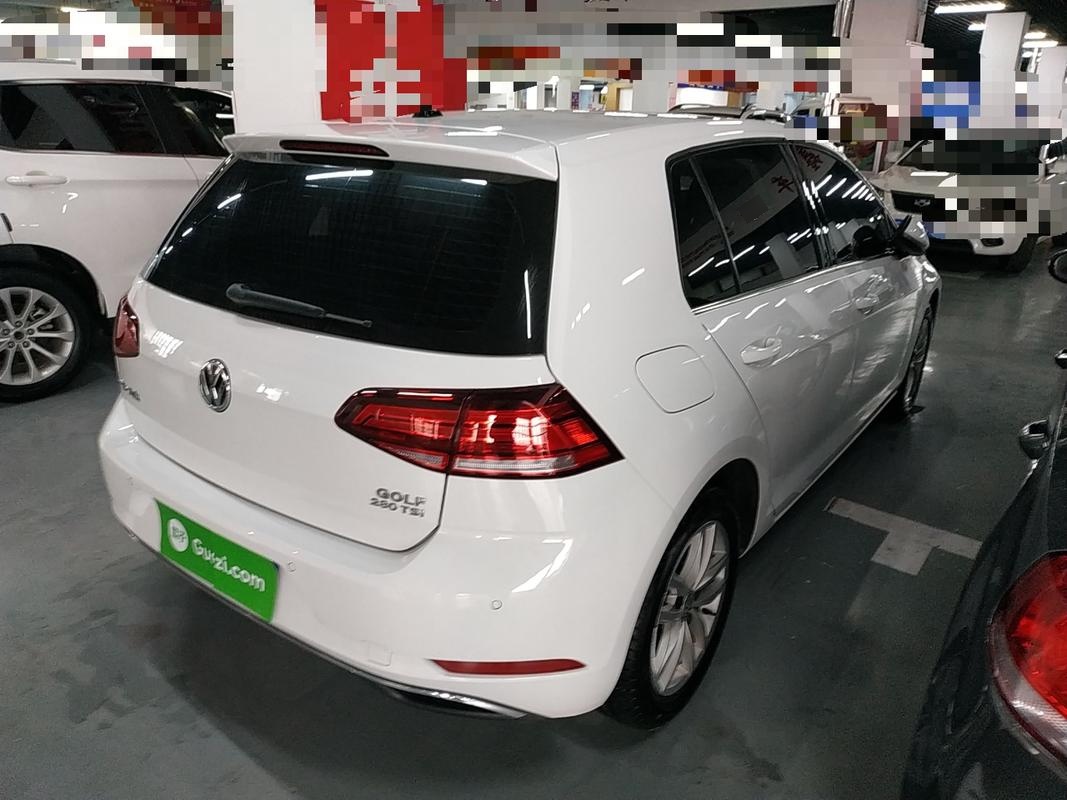 大众高尔夫 2019款 1.4T 自动 汽油 280TSI舒适型 (国Ⅵ) 