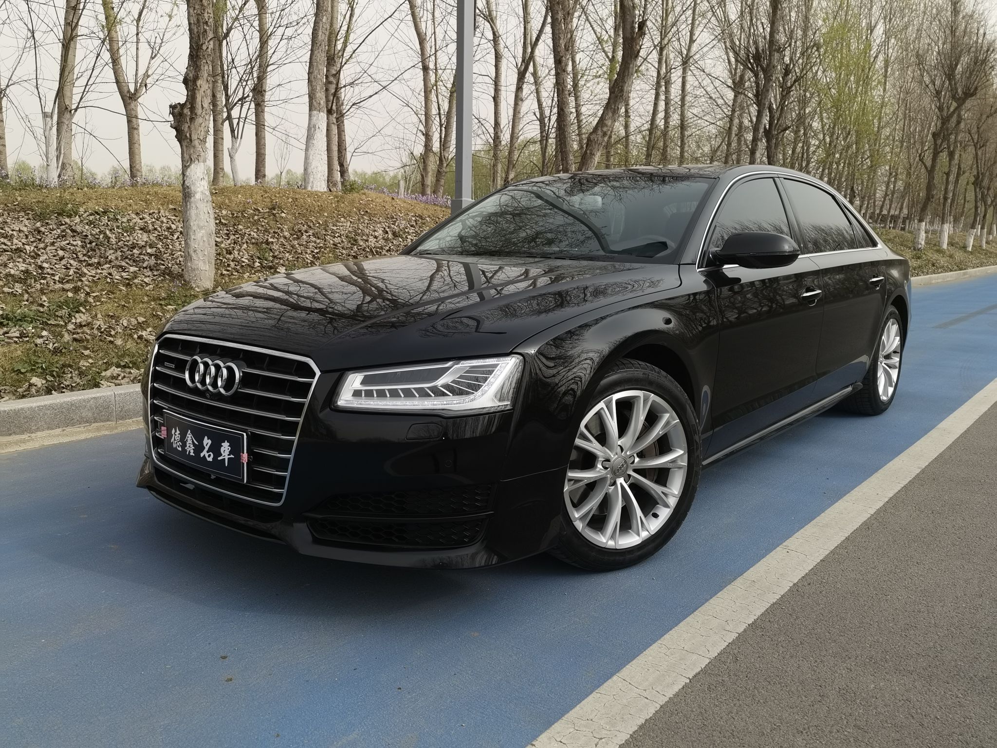 奥迪A8L 45TFSI [进口] 2017款 3.0T 自动 汽油 豪华型 