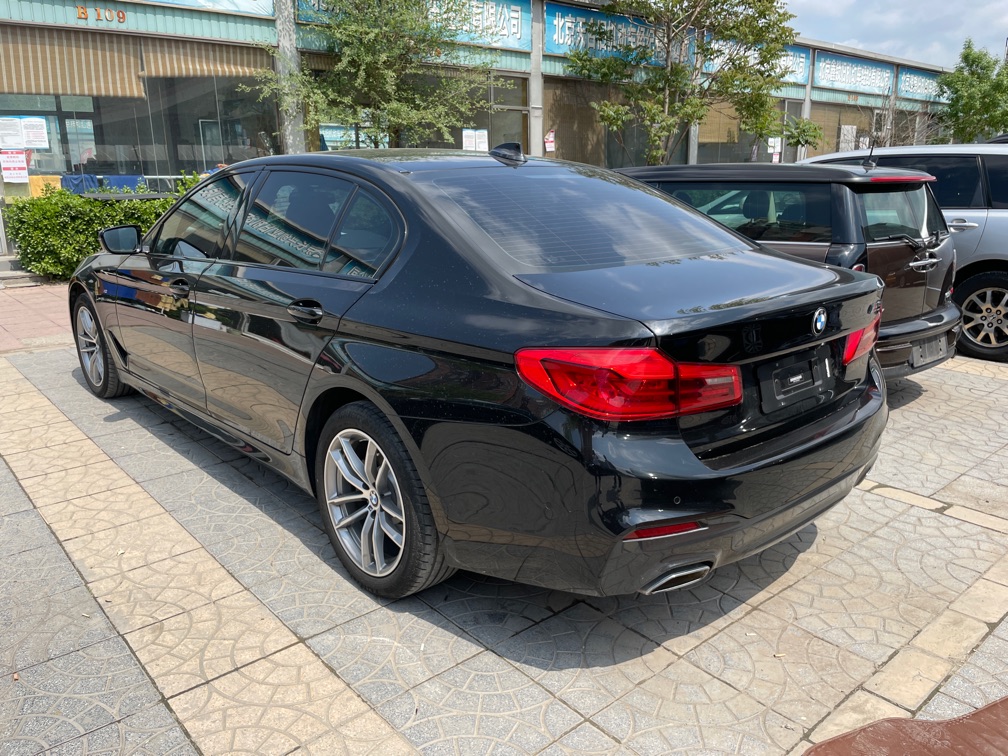 宝马5系 525Li 2019款 2.0T 自动 汽油 M运动套装 (国Ⅴ) 