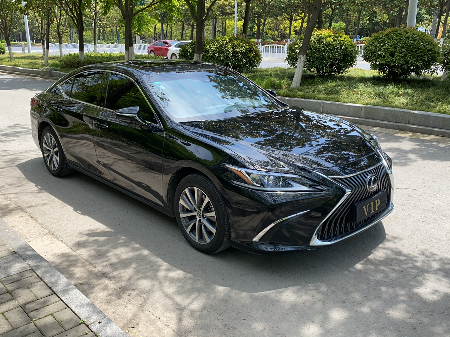 雷克萨斯es260进口2020款25l自动卓越版