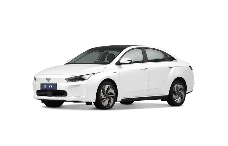 毛豆新车