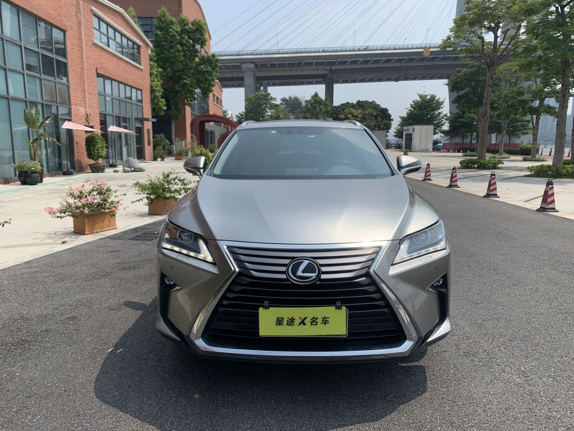 雷克萨斯RX 300 [进口] 2016款 2.0T 自动 前驱 精英版 