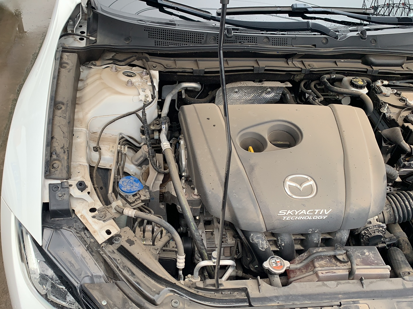 马自达CX-4 2018款 2.0L 自动两驱蓝天活力版 国V