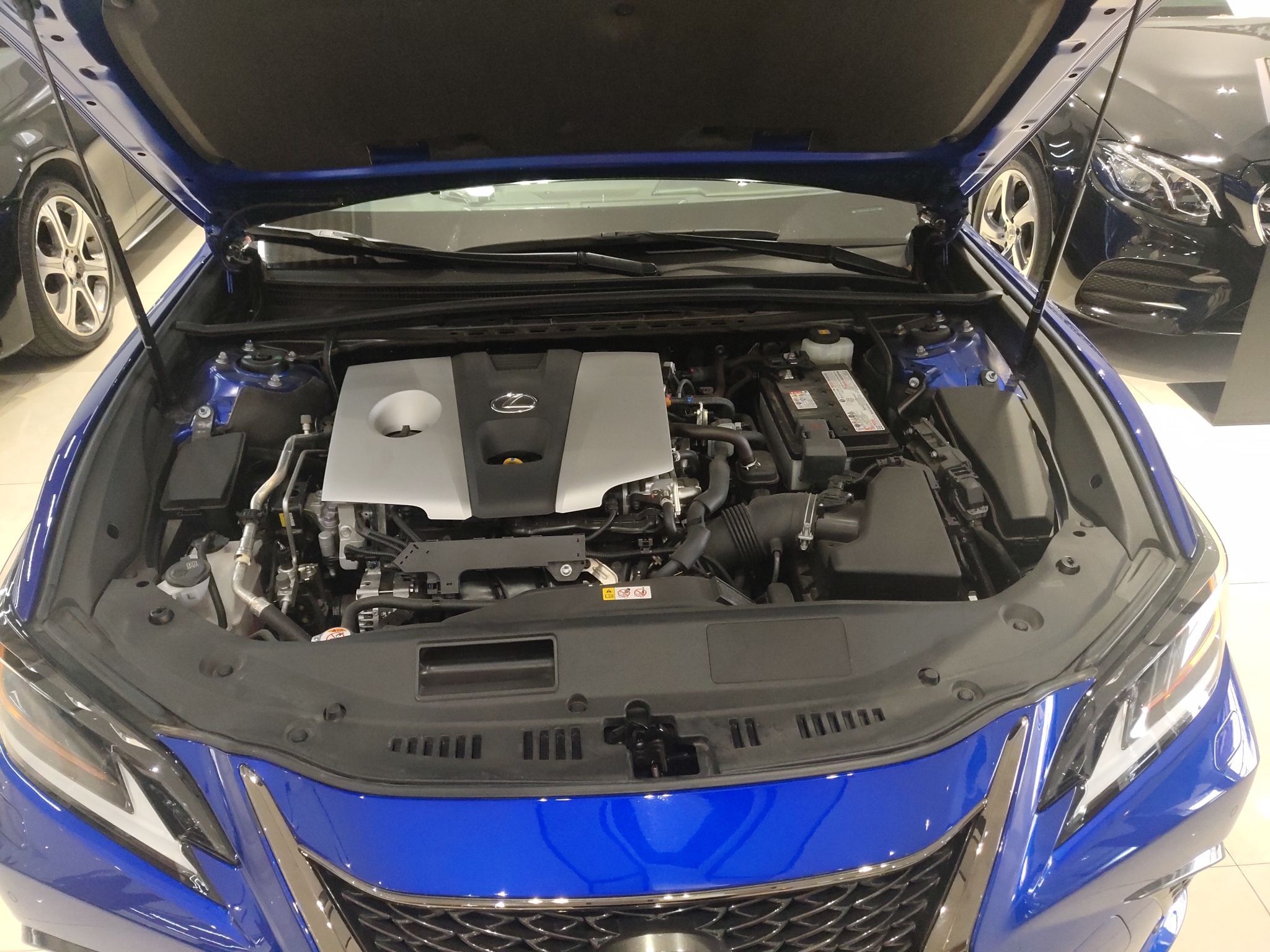 雷克萨斯ES 260 [进口] 2020款 2.5L 自动 F SPORT 