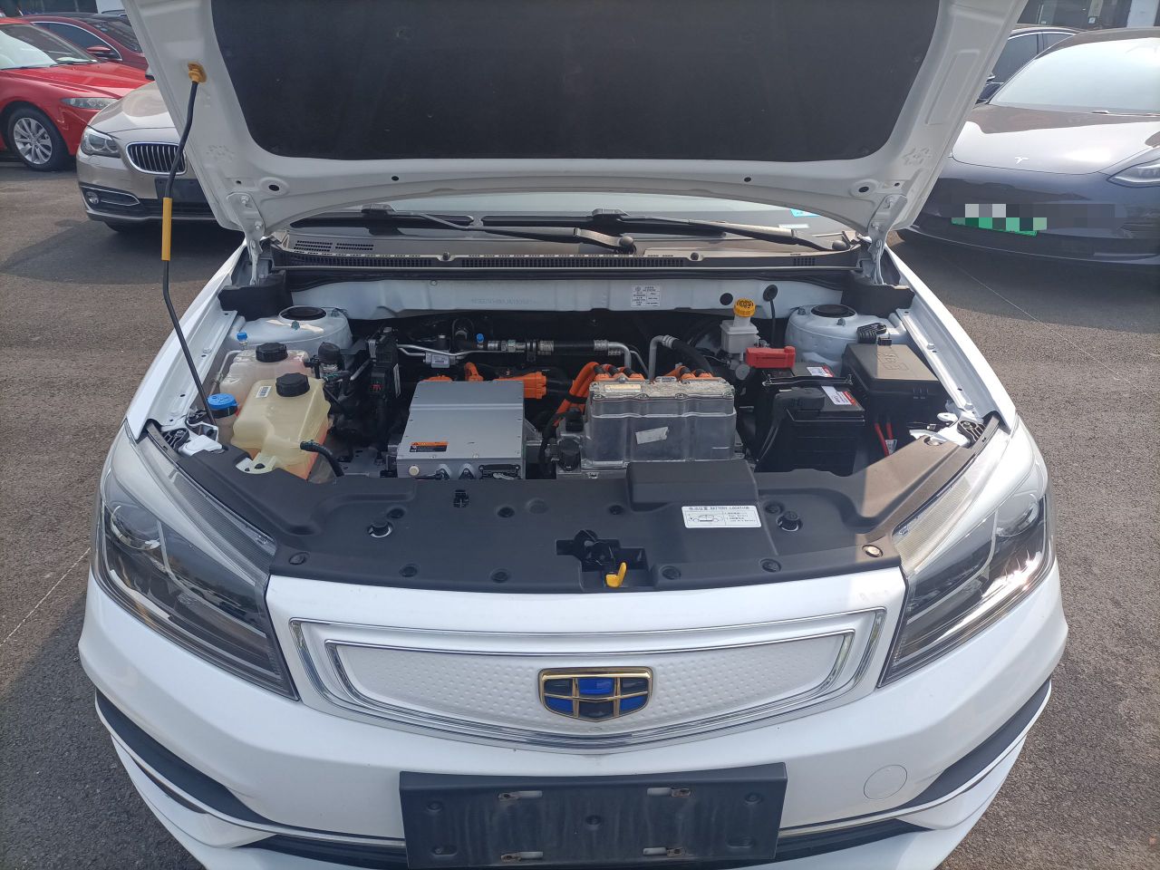 吉利帝豪 EV450 2018款 0.0T 自动 进取型 